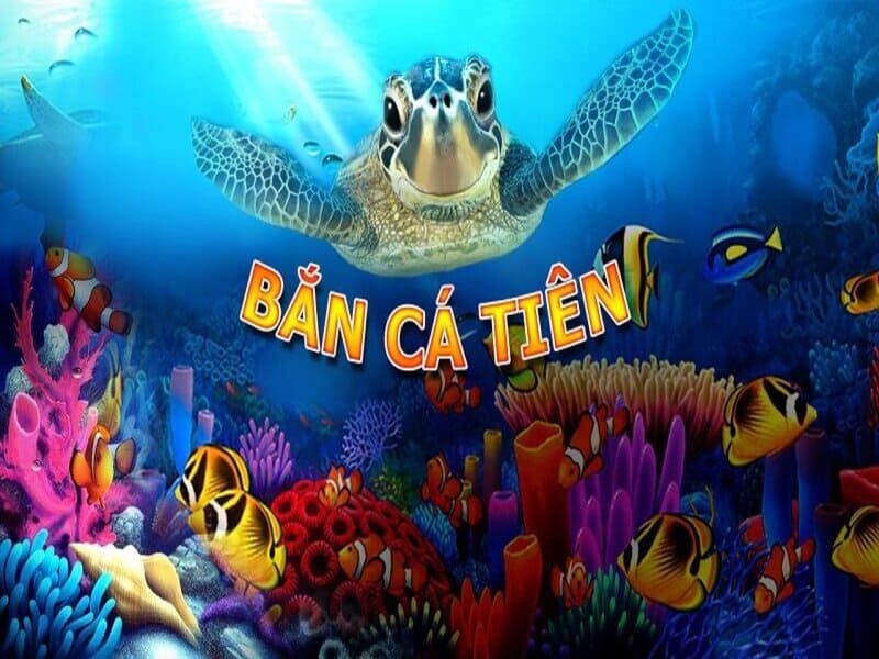 Sân chơi mang đến cho game thủ nhiều trải nghiệm hoàn hảo