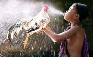 Những bước chuẩn bị ban đầu cho bạn hơi phức tạp