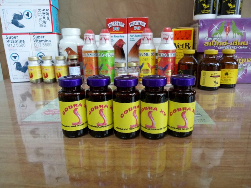 Chế độ dinh dưỡng hợp lý là một trong những cách nuôi gà đá mau sung hiệu quả